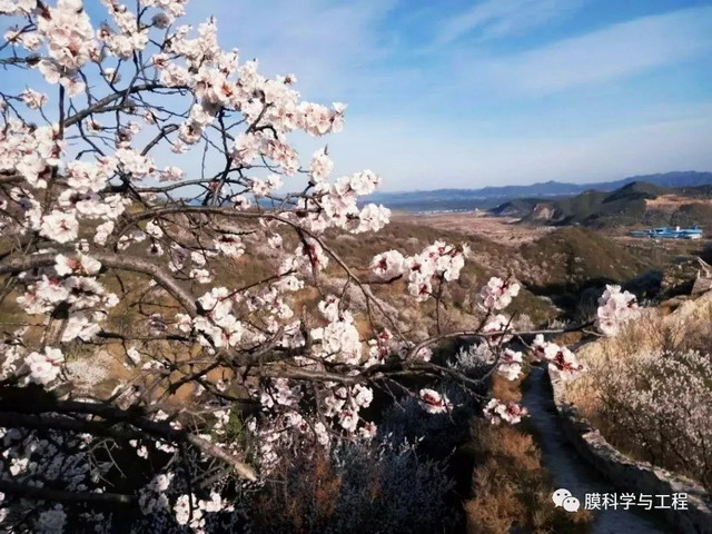 中科院过程所博导罗建泉与研究生开展读书报告会活动 中科院过程所博导罗建泉与研究生开展读书报告会活动