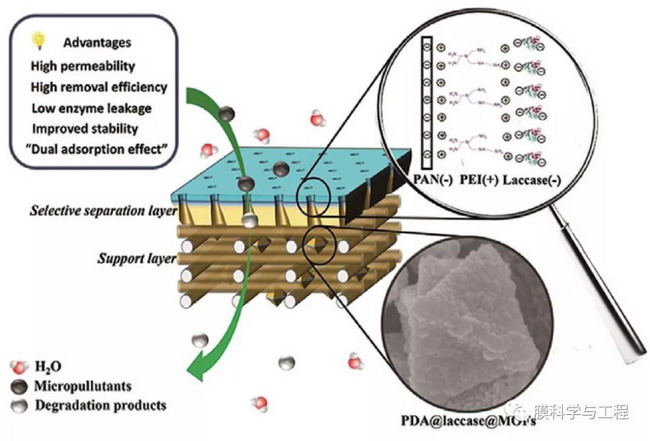 基于MOFs的“3D修饰”制备高通量生物催化膜改性策略 基于MOFs的“3D修饰”制备高通量生物催化膜改性策略