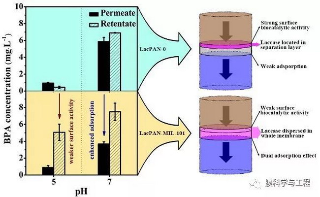 基于MOFs的“3D修饰”制备高通量生物催化膜改性策略 基于MOFs的“3D修饰”制备高通量生物催化膜改性策略