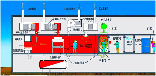 国家动物疫病防控高级别生物安全实验室通过认可投运 国家动物疫病防控高级别生物安全实验室通过认可投运