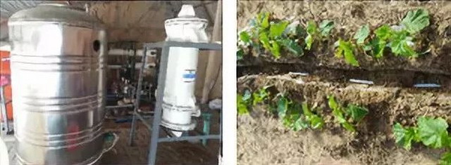 寒冷地区太阳能减压膜蒸馏RO浓水淡化系统设计与试验 寒冷地区太阳能减压膜蒸馏RO浓水淡化系统设计与试验
