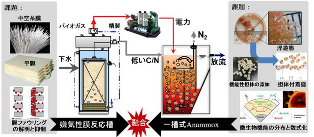 李玉友教授:日本基于厌氧MBR与厌氧氨氧化的低碳设计 李玉友教授:日本基于厌氧MBR与厌氧氨氧化的低碳设计