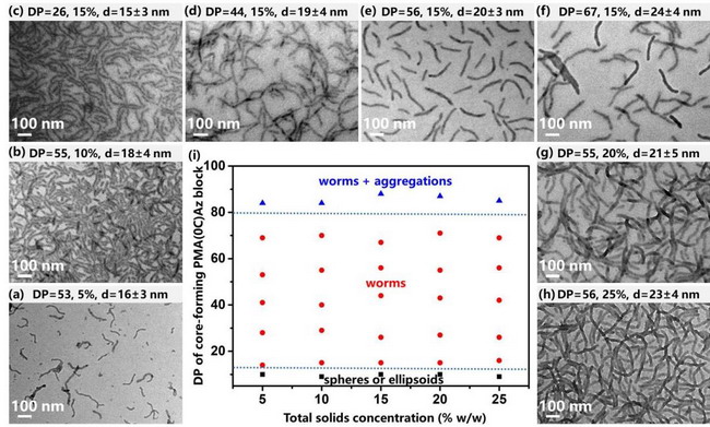 光触发可逆“瘦身”蠕虫状纳米粒子用于智能纳滤开关 光触发可逆“瘦身”蠕虫状纳米粒子用于智能纳滤开关