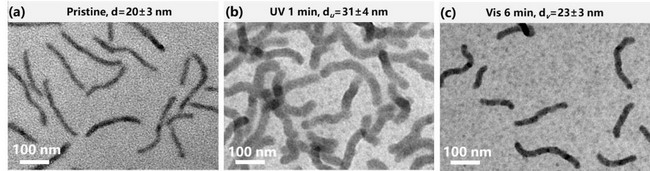 光触发可逆“瘦身”蠕虫状纳米粒子用于智能纳滤开关 光触发可逆“瘦身”蠕虫状纳米粒子用于智能纳滤开关