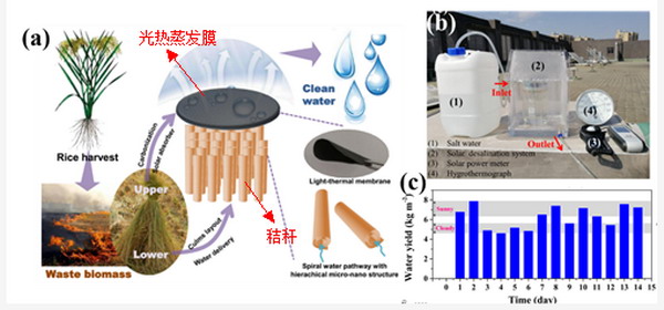 中科院宁波材料所刘富研发出全生物质界面光热蒸馏器 中科院宁波材料所刘富研发出全生物质界面光热蒸馏器