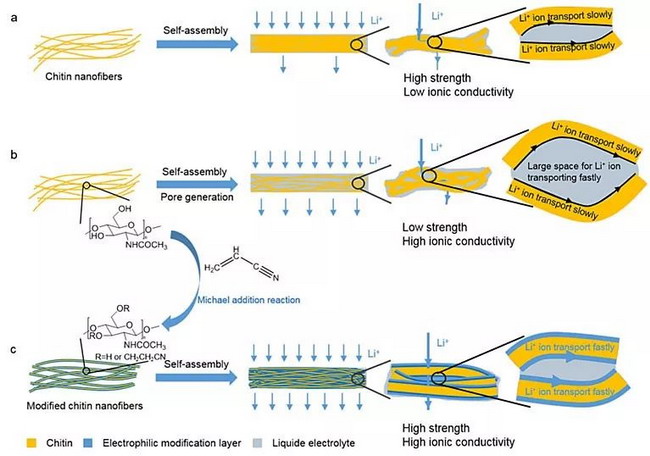 表面化学修饰助力生物质纳米纤维锂离子电池隔膜研发 表面化学修饰助力生物质纳米纤维锂离子电池隔膜研发