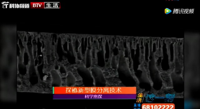 张卫东教授揭秘膜分离技术牡丹花中如何提取牡丹黄酮 张卫东教授揭秘膜分离技术牡丹花中如何提取牡丹黄酮