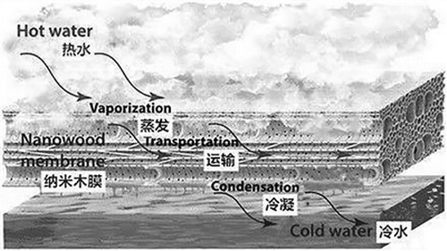 纳米木膜淡化海水或可成为新一代海水淡化的“神器”