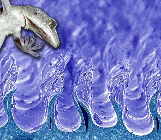 1593480191249805.jpg 054b-ivffpcs0211212.jpg