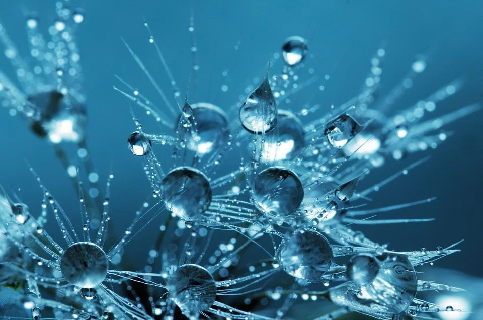 1600702299715326.png image.png