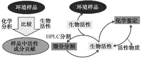 1609691218136736.png image.png