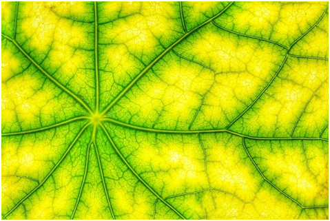 1672973083994015.png image.png