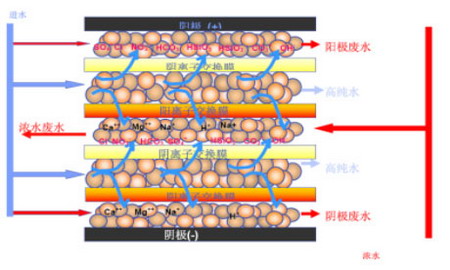 E-CELL-3X工作原理 E-CELL-3X工作原理