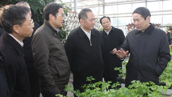 徐南平（右一）一行参观现代农业创新园