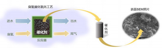 图1 碧水源新型臭氧催化氧化催化剂 图1 碧水源新型臭氧催化氧化催化剂