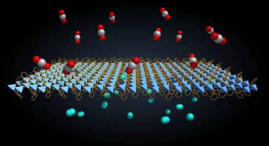天津大学王志教授团队二氧化碳分离膜研究取得新突破 天津大学王志教授团队二氧化碳分离膜研究取得新突破