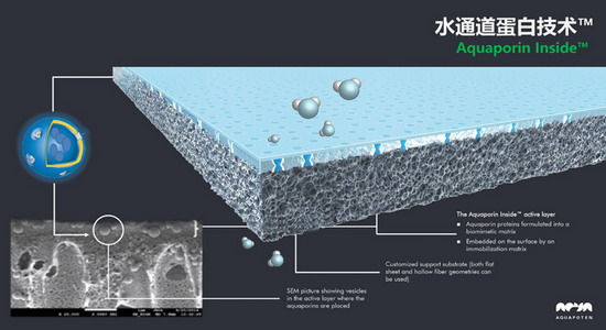 水通道蛋白技术 水通道蛋白技术
