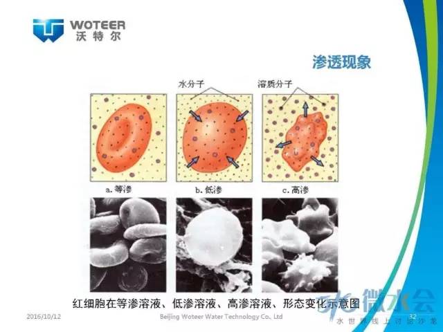 北京沃特尔王大新：正渗透膜分离技术应用研究与展望