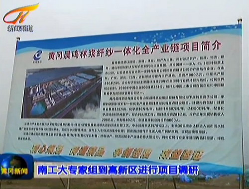 邢卫红率南京工业大学专家调研组实地考察黄冈高新区 邢卫红率南京工业大学专家调研组实地考察黄冈高新区
