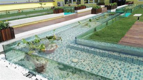 处理后的水在建筑房顶上种植养鱼 处理后的水在建筑房顶上种植养鱼
