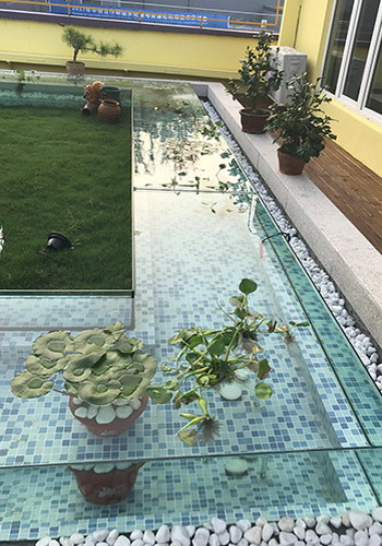处理后的水在建筑房顶上种植养鱼 处理后的水在建筑房顶上种植养鱼