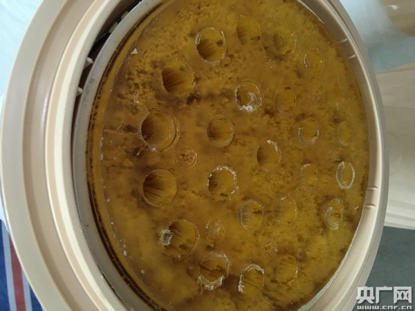 污水进入充满膜丝的管道中进行过滤净化 污水进入充满膜丝的管道中进行过滤净化