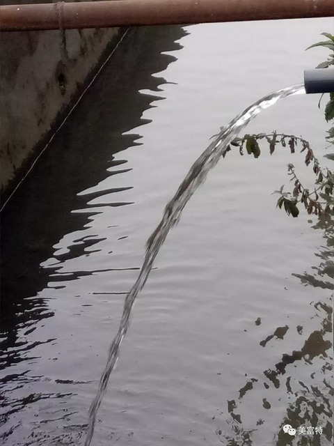 成都市双流区美富特智能一体化MBR设备项目完成已验收 成都市双流区美富特智能一体化MBR设备项目完成已验收