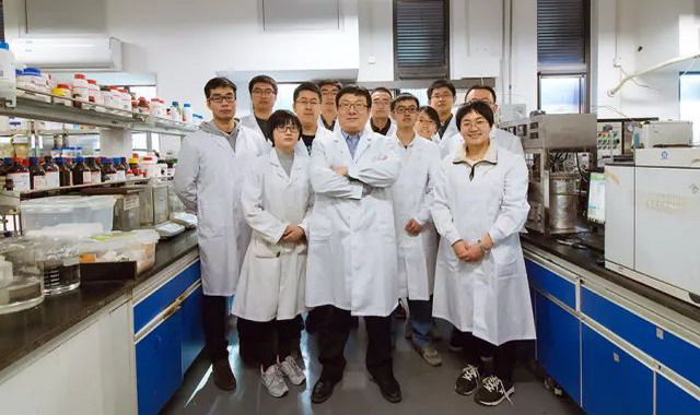 王志教授团队 王志教授团队