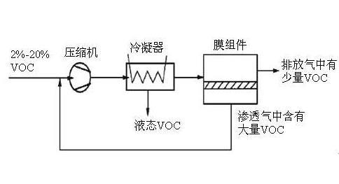 经营南京天膜赵新创业之路第一桶金是从空气里抓来的 经营南京天膜赵新创业之路第一桶金是从空气里抓来的