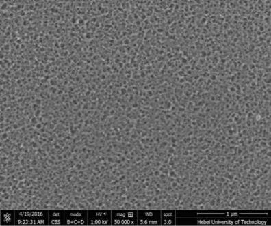 天津海淡所聚砜平板超滤膜产品研究及其应用扎实推进 天津海淡所聚砜平板超滤膜产品研究及其应用扎实推进