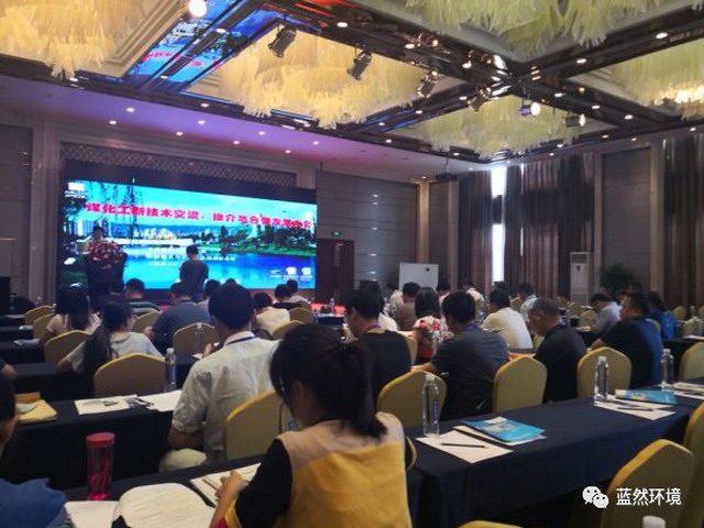 在技术交流中充分展示实力蓝然环境积极参加行业会议