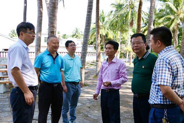 侯立安院士率调研组赴海南万宁调研乡村环境卫生整治 侯立安院士率调研组赴海南万宁调研乡村环境卫生整治