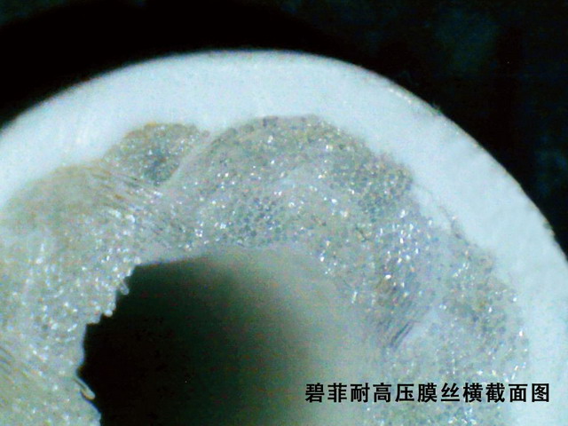 碧菲膜用于生物医药提纯领域耐高压超滤技术优势凸显 碧菲膜用于生物医药提纯领域耐高压超滤技术优势凸显