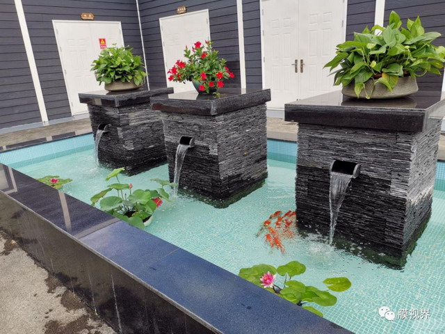 市政协主席一行视察凯米膜玄武湖湖滨水质净化站项目 市政协主席一行视察凯米膜玄武湖湖滨水质净化站项目