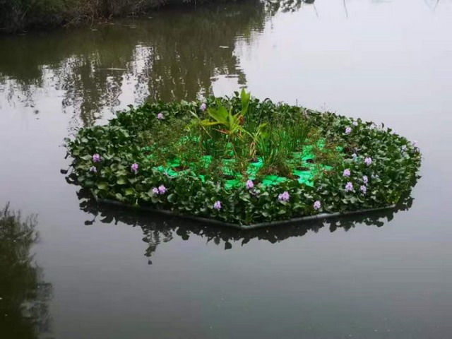 雄安新区多源污染型小流域生态治理与修复项目已启动 雄安新区多源污染型小流域生态治理与修复项目已启动
