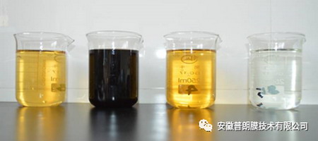 普朗膜研发煤化工浓盐水膜分盐装置通过技术成果鉴定 普朗膜研发煤化工浓盐水膜分盐装置通过技术成果鉴定