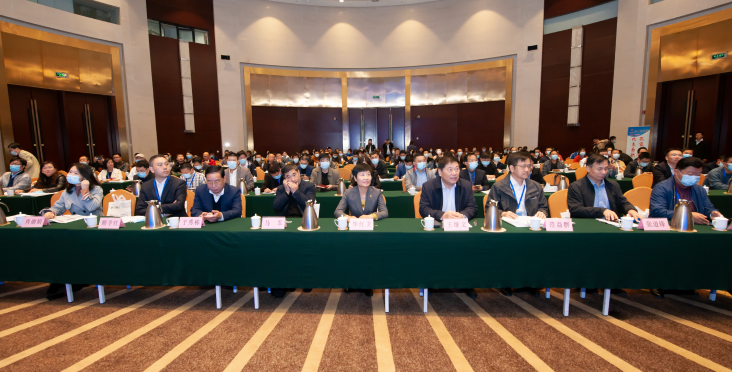 1603173081581780.png 图片7.png