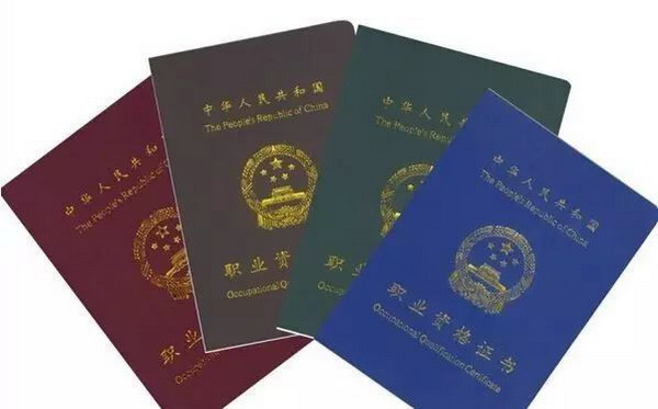 《关于实施失业保险支持技能提升“展翅行动”通知》